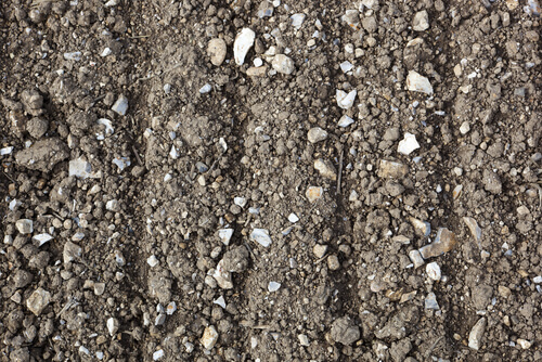 chalky soil with white chunks