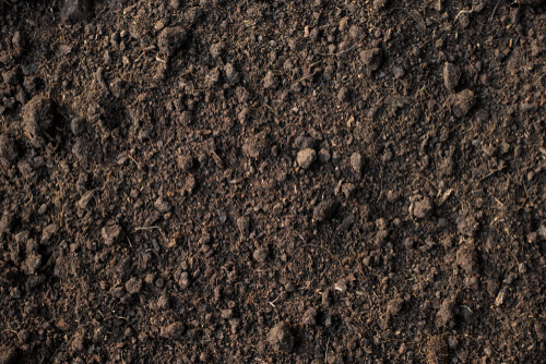 dark loamy soil