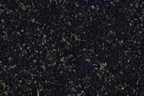 dark peaty soil