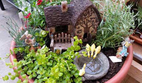 Fairy Garden Stauffers, Pics Of Fairy Gardens