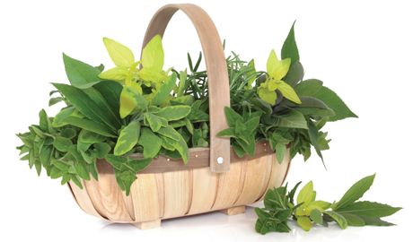 basket filled with herbs