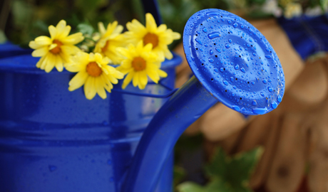 Watering can with flowers inside