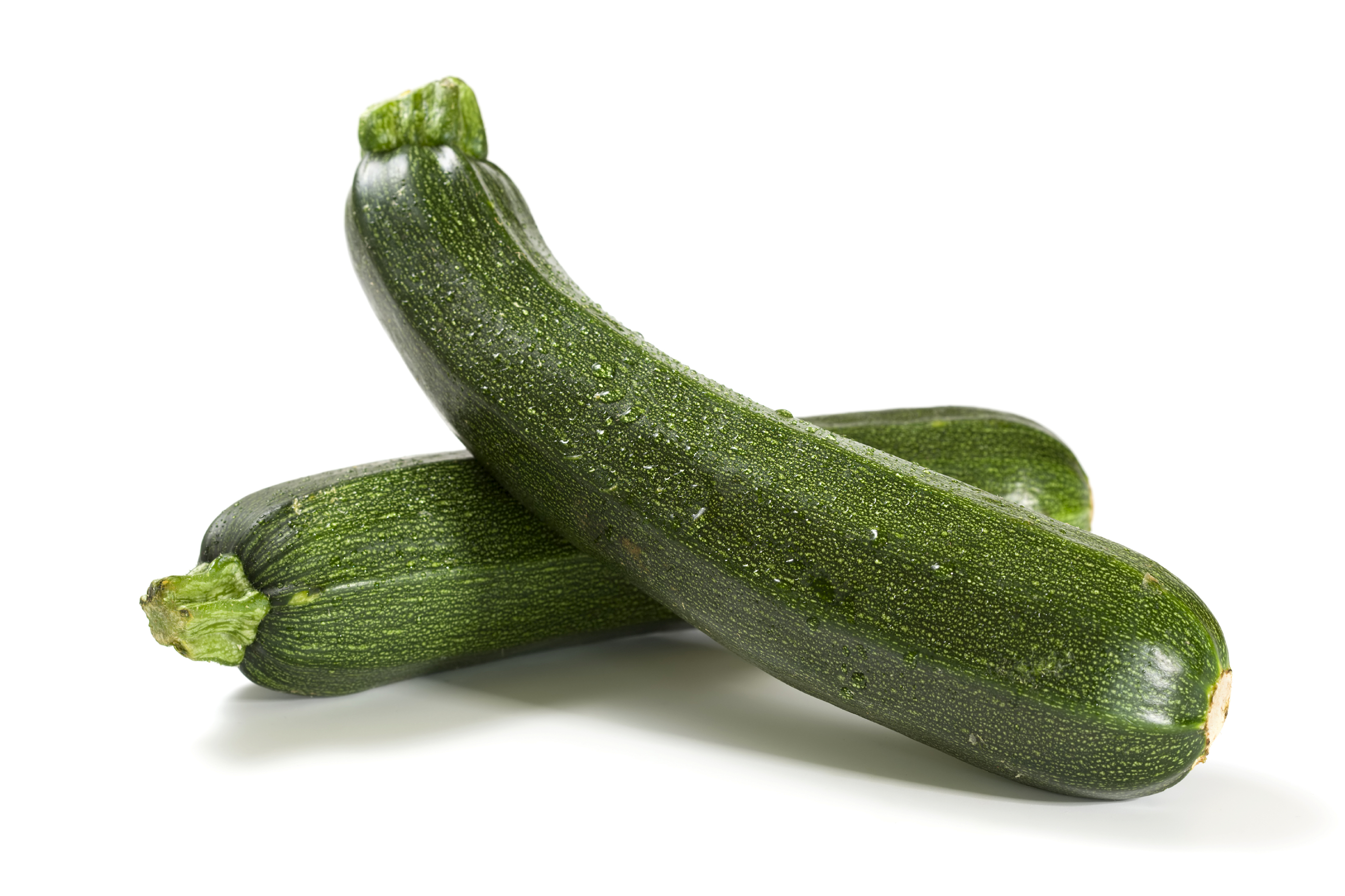 Green Squash… Zucchini, What’s the Difference?