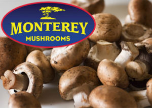 Monterey Mushroom