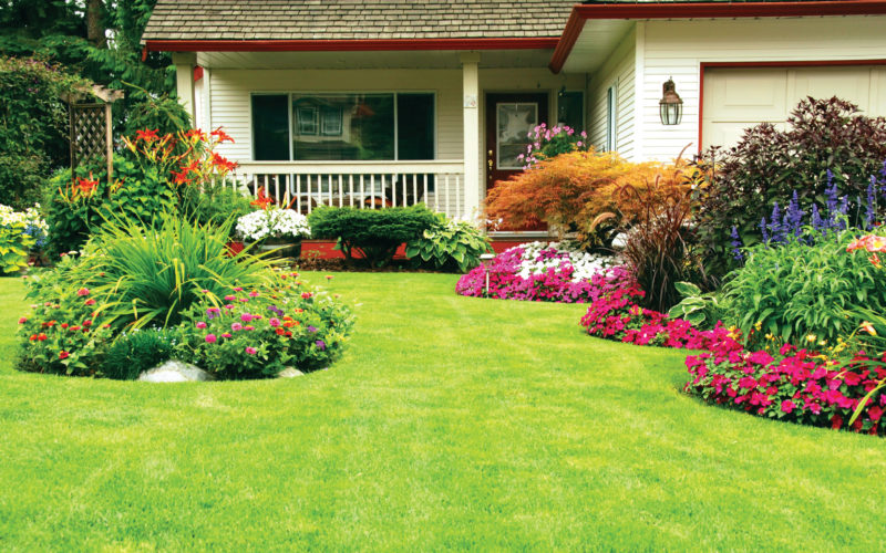 18 Landscaping Rules For Your Home, How Much To Landscape A Garden