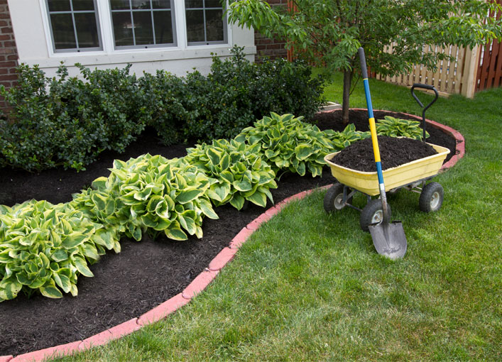 Find Outdoor Landscape Essentials Mulch Stone Pavement Stauffers Easy and simple access is given to make sure that you are getting satisfaction when making a purchase. mulch stone pavement