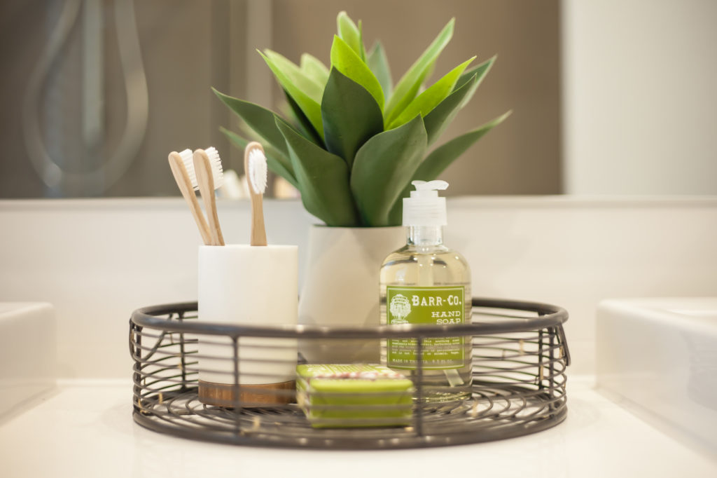 tray arranged with toothbrush, soaps and house plant
