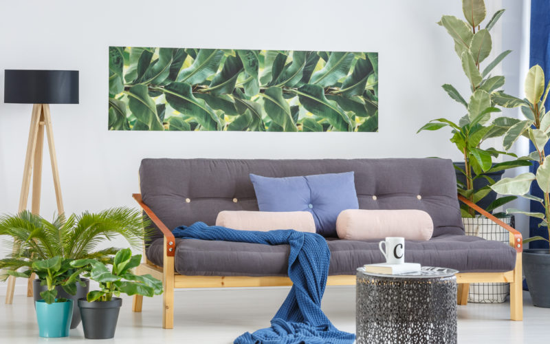 bright living room with house plants and plant prints