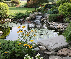 water gardening pond with flowers