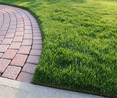 grass with brick paved walkway