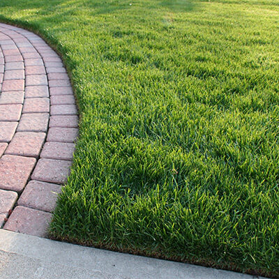 grass with brick paving