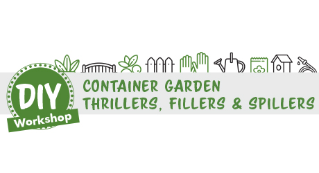 container garden thrillers fillers and spillers