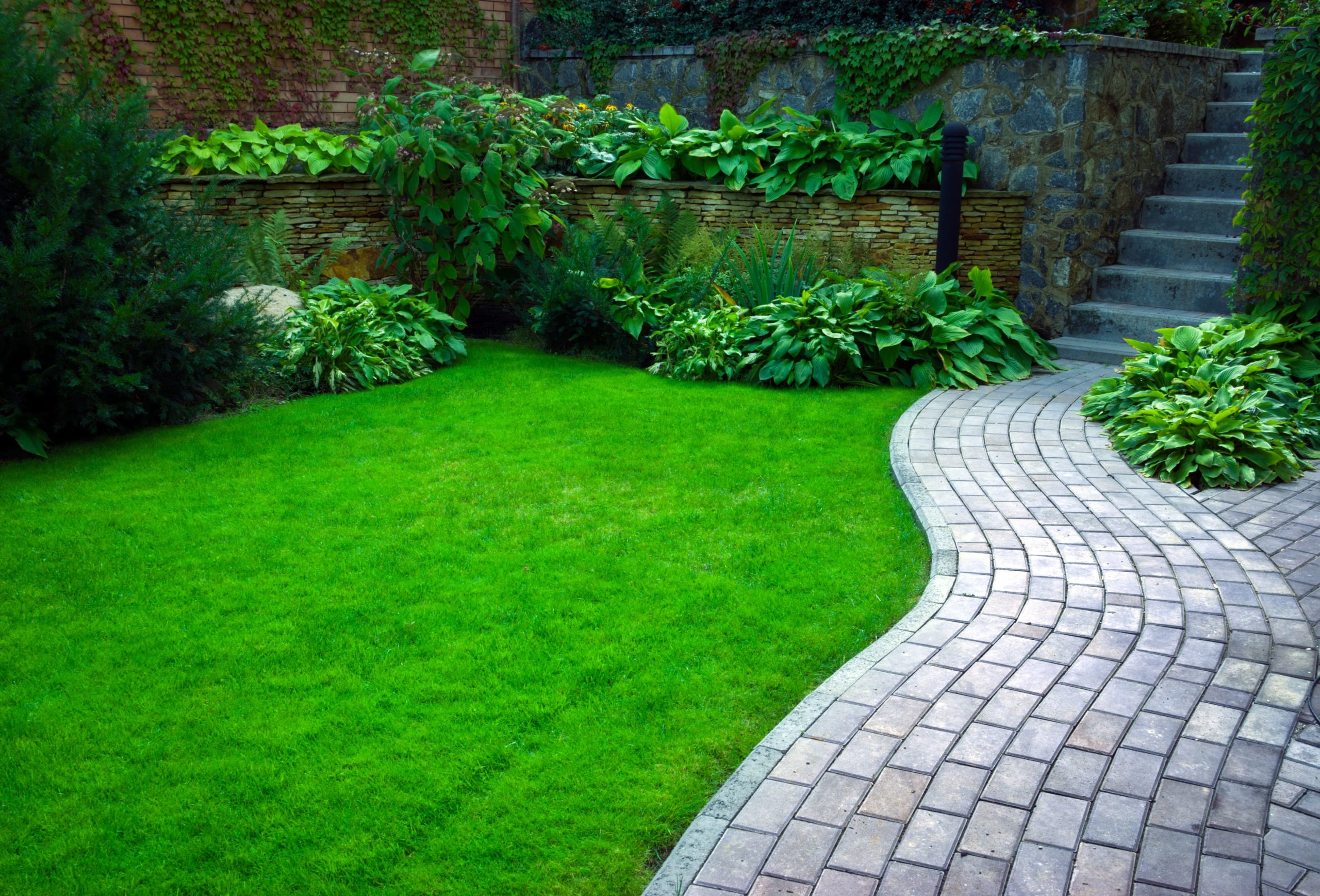 Backyard landscape with a stone pathway.