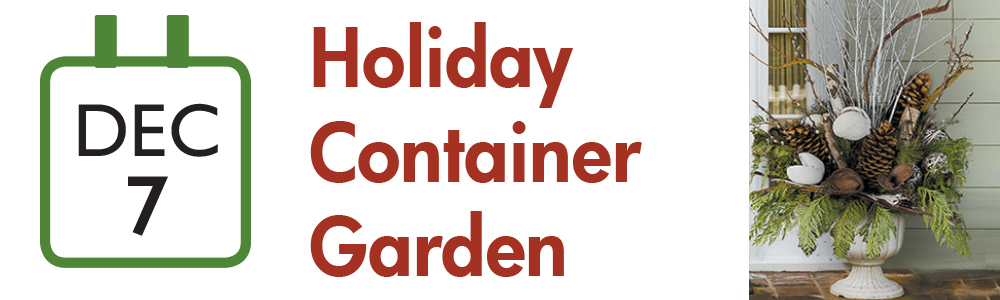 holiday container garden