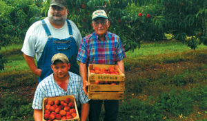 schwalm family with nectarines