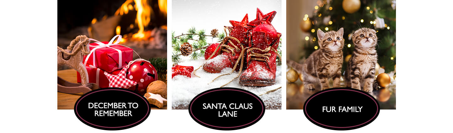 December to Remember, Santa Claus Lane, and Fur Family