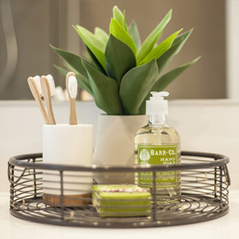 houseplant on a bathroom sink with toothbrushes and soap