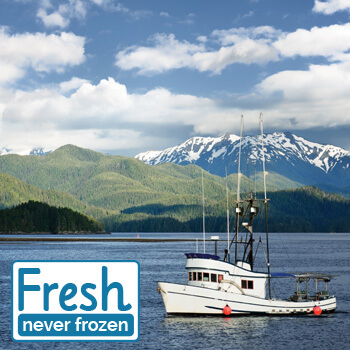 fresh never frozen fishing boat