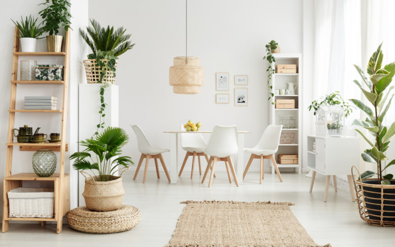 A room full of plants used as interior decor