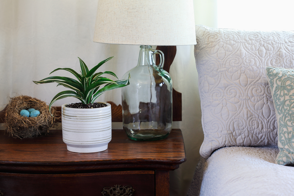 Choosing plants that match your design style creates a cohesive look.