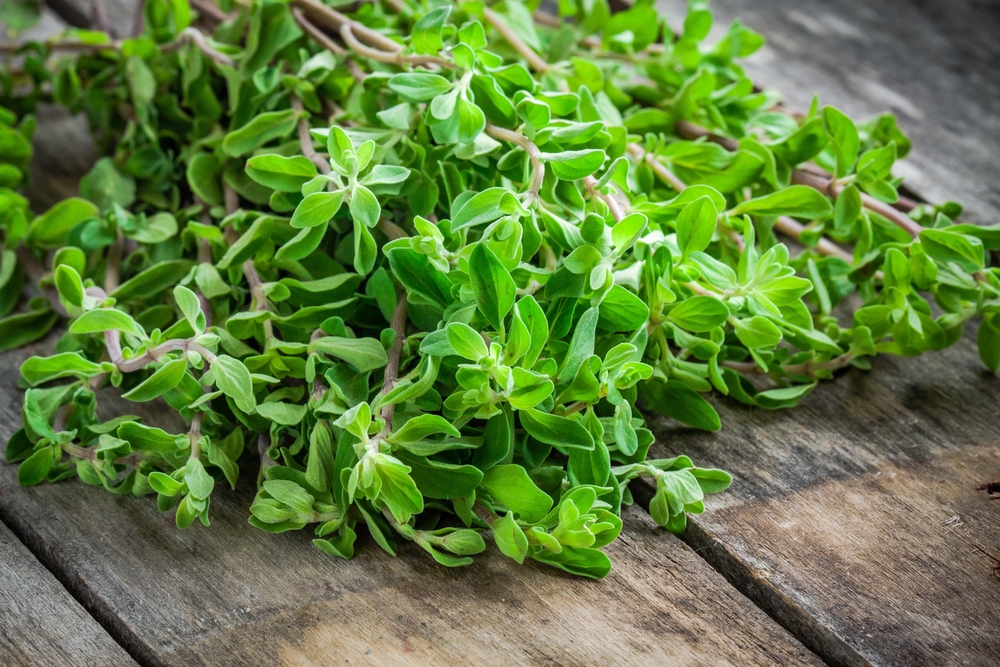 Marjoram is one of the key herbs used when cooking pizza sauce.