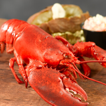 lobster feast
