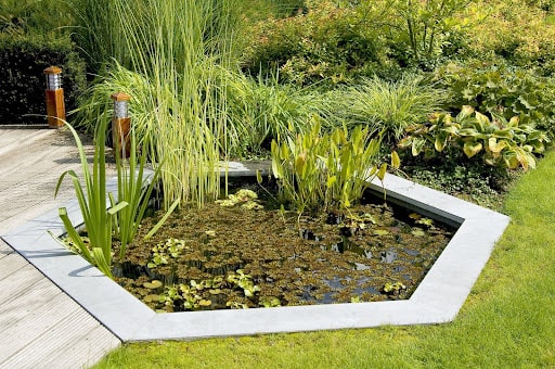 Formal pond design