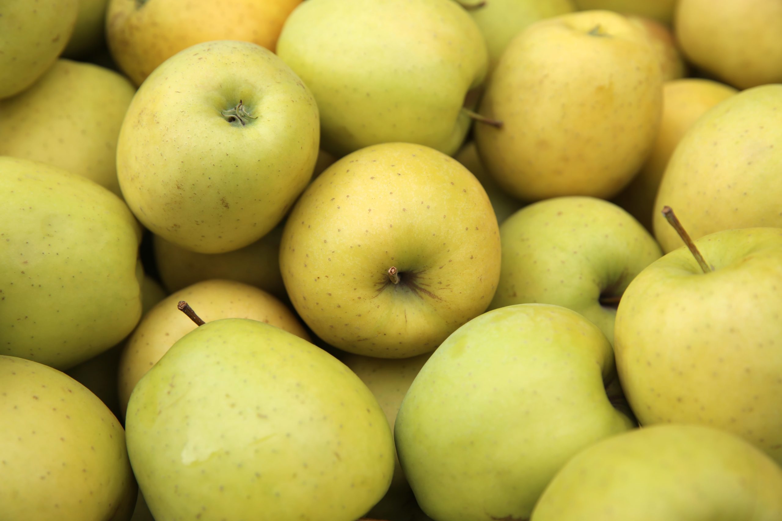 All You Need To Know About Apples: 7 Types Of Apples For Cooking, Baking,  And Eating Fresh - Stauffers