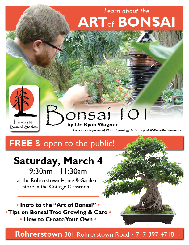 Learn about the Art of Bonasi Event 