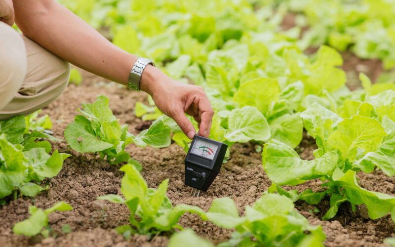 a woman holds a device into the soil to test pH