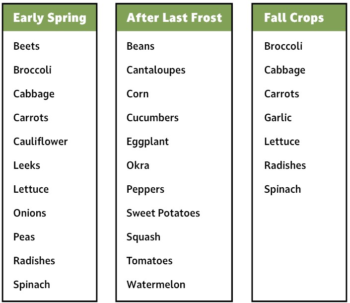 veggie garden chart