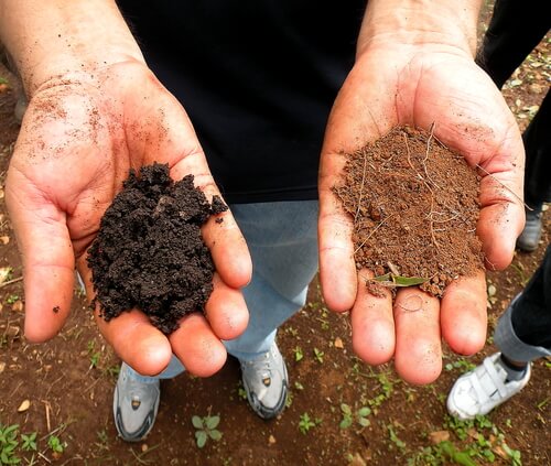 a man holding different types of soil