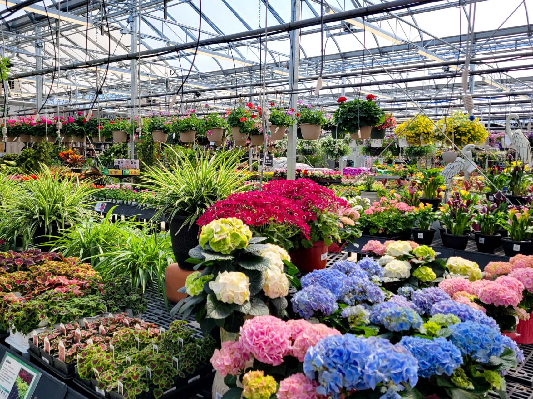 Best Home and Garden Store in Harrisburg, PA