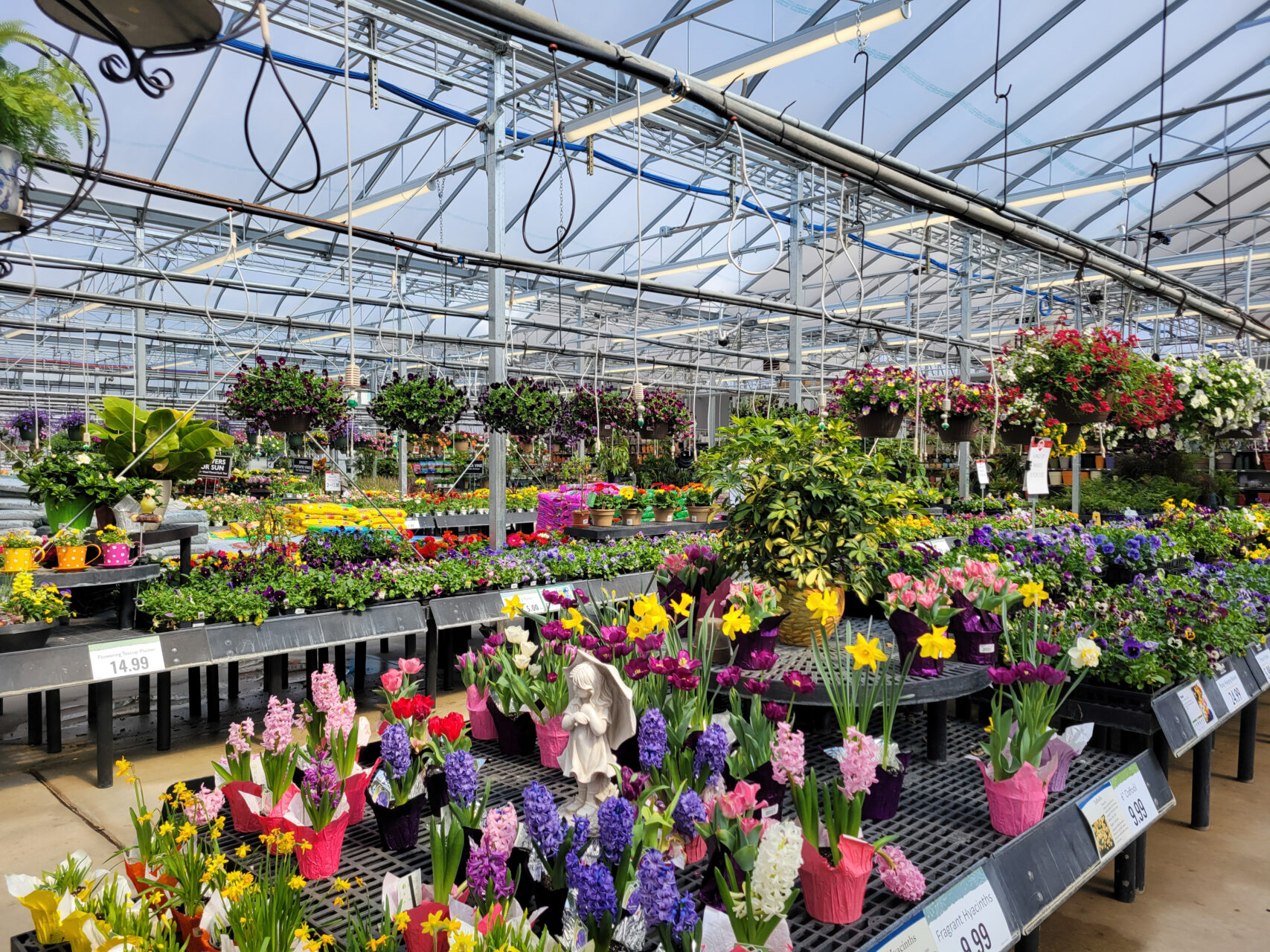 Best Home and Garden Store in Harrisburg, PA