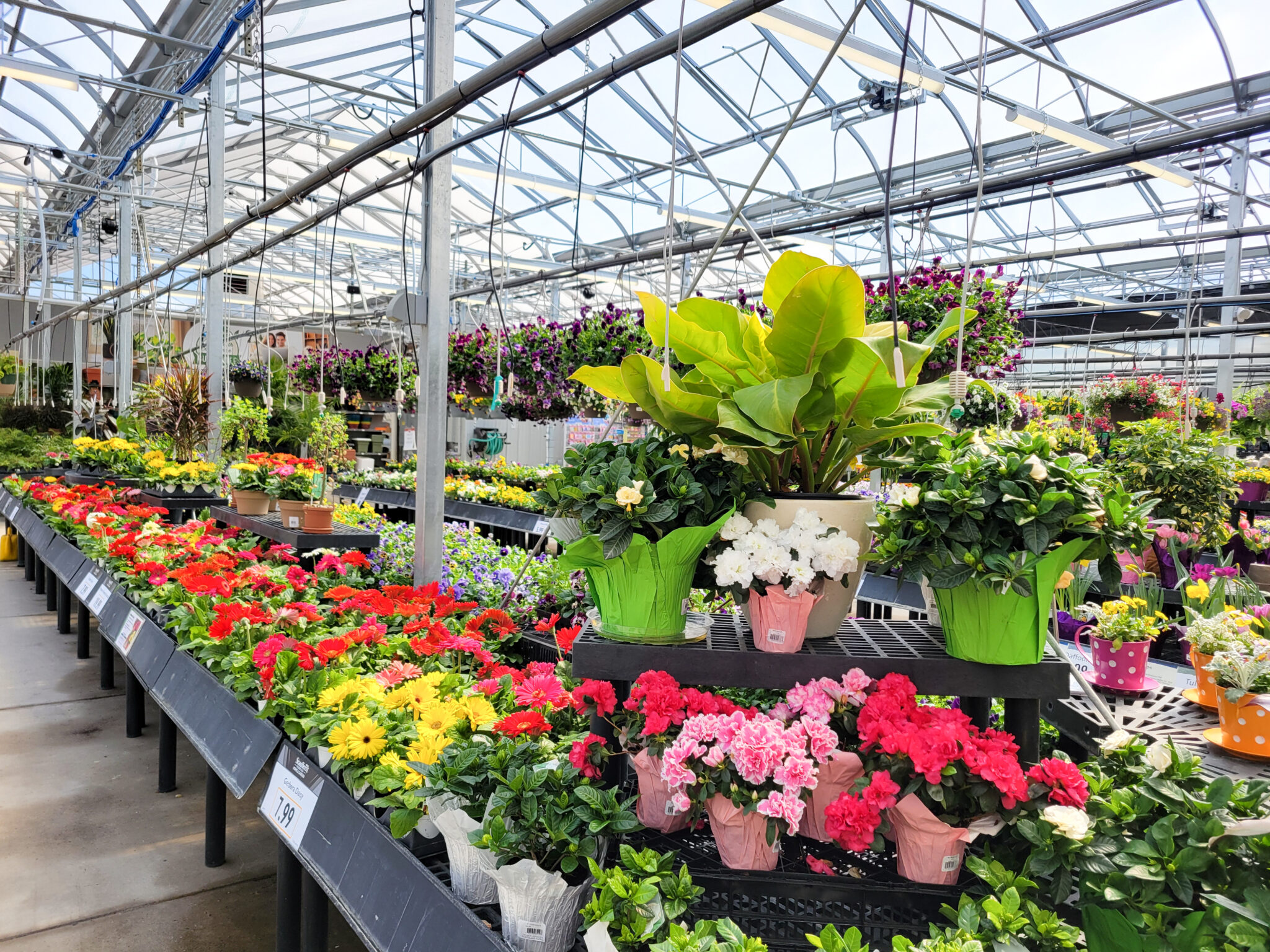 Best Home and Garden Store in Harrisburg, PA