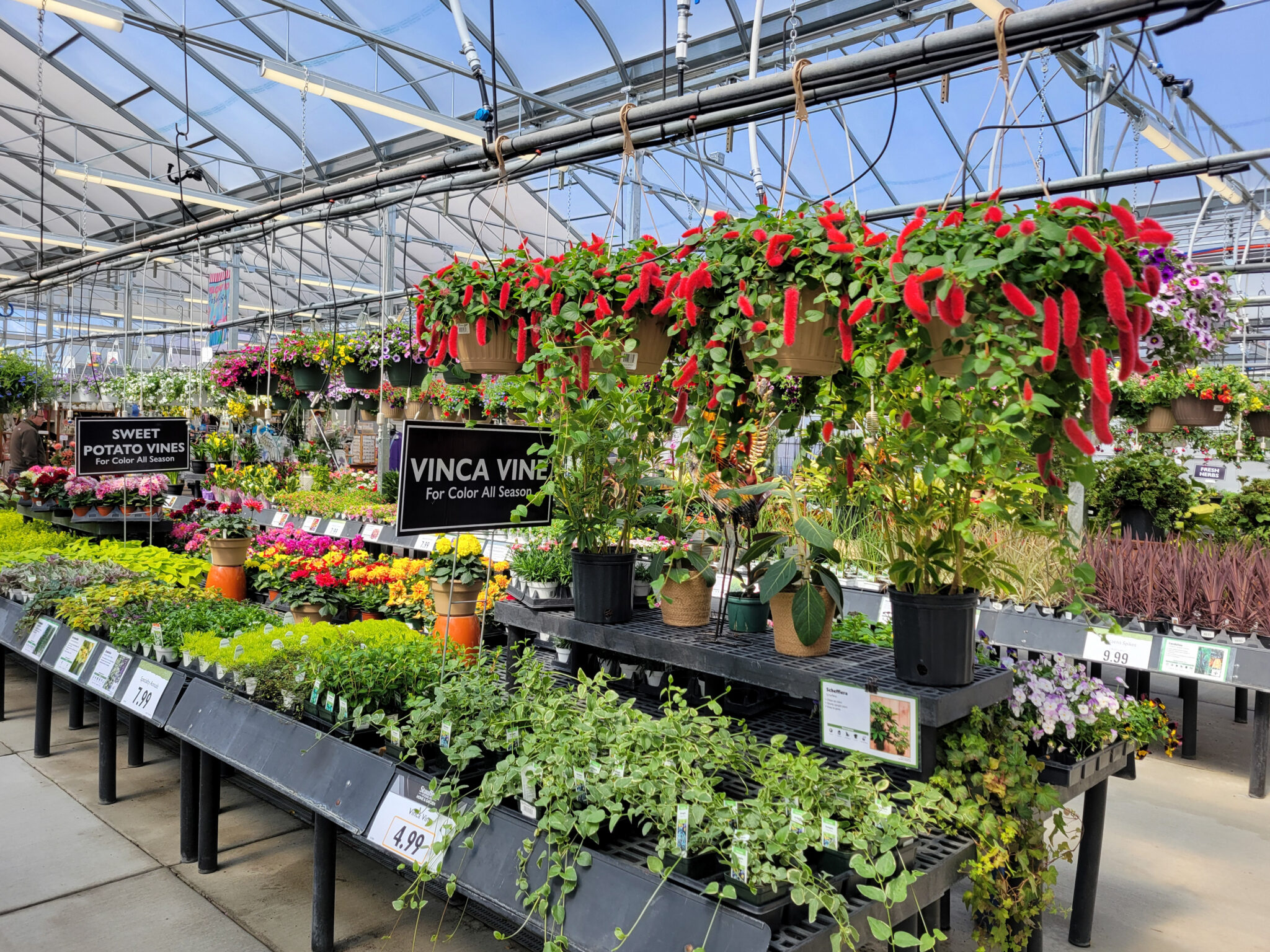Best Home and Garden Store in Harrisburg, PA