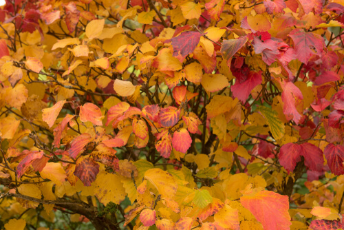 shutterstock 1549685723