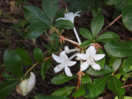 shutterstock 2201881749