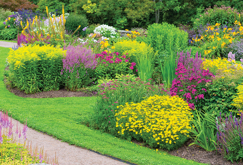 Event Images 800 perennial power