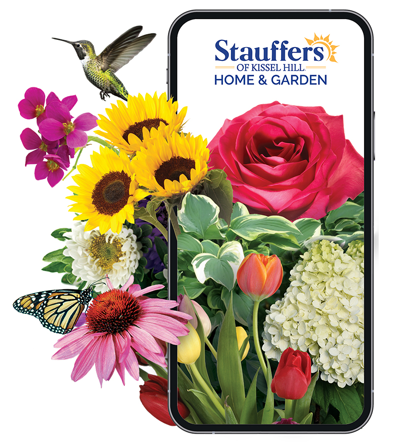 App Visual 900x900 1