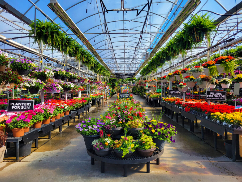 greenhouse pic edited