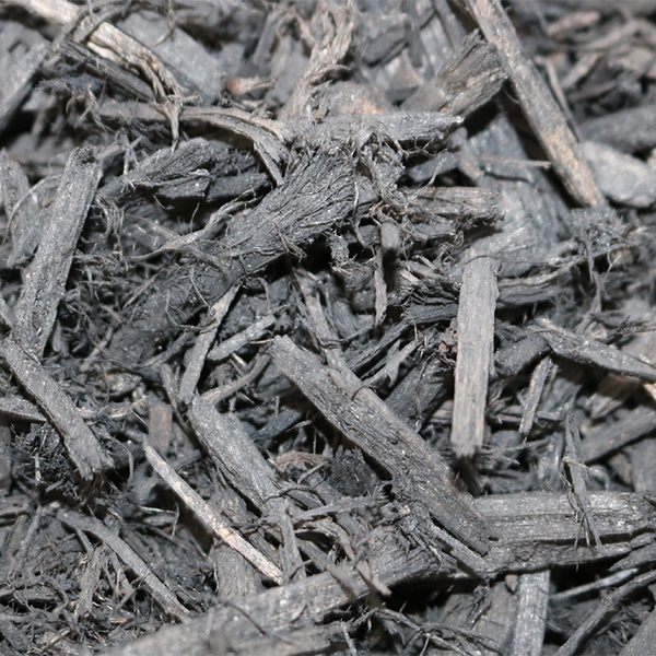 black dyed mulch