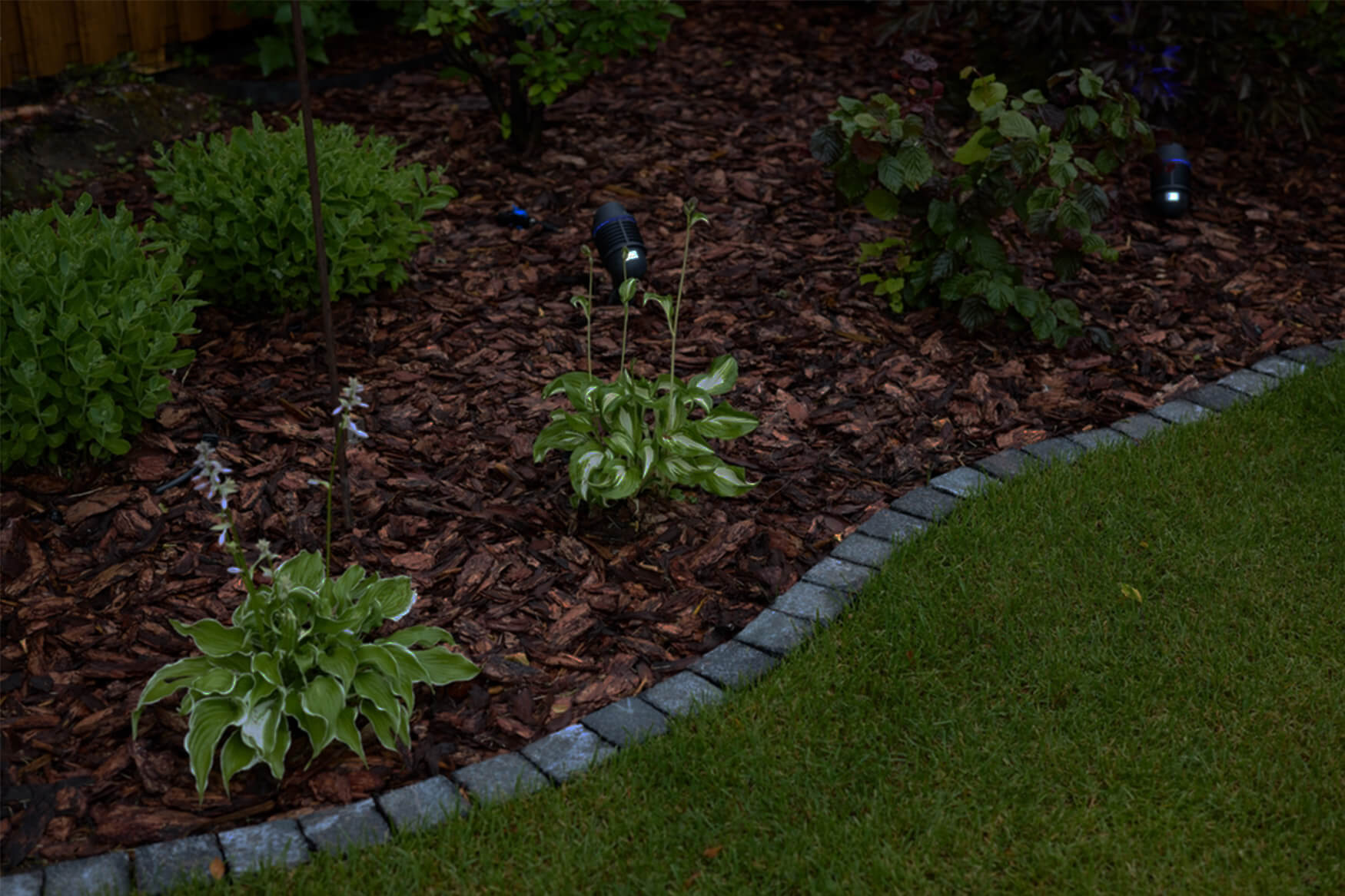 A garden with freshly spread mulch, plants, and a stone border