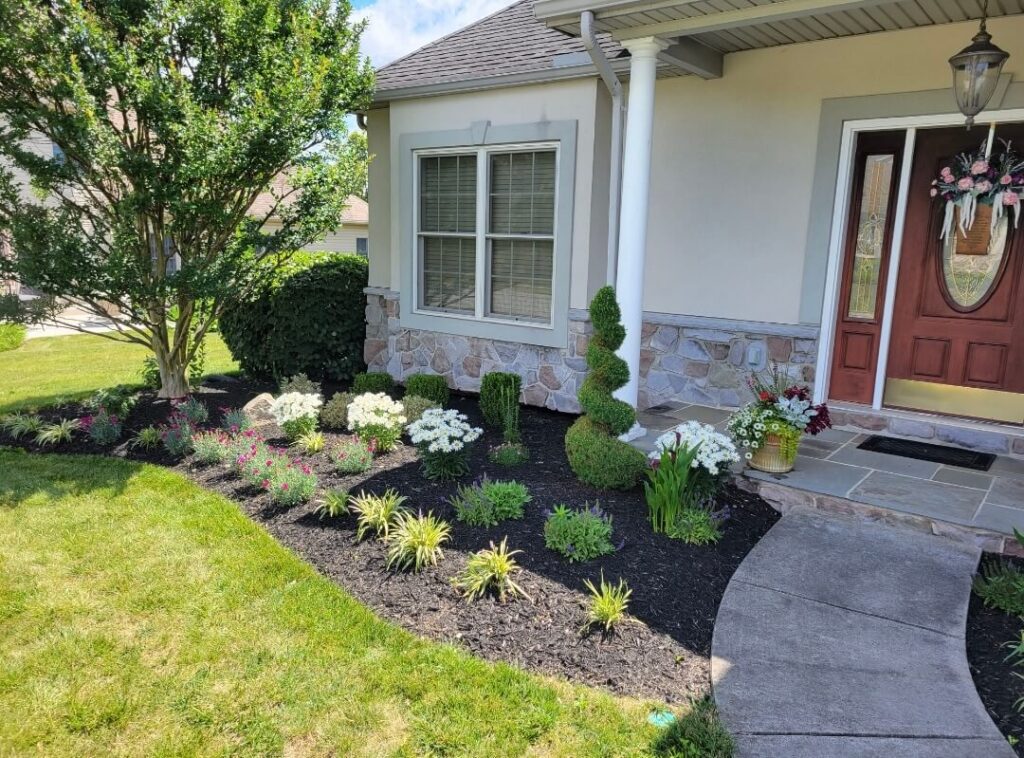 Mulch installation project in front of a house with rows of plants in the landscaping