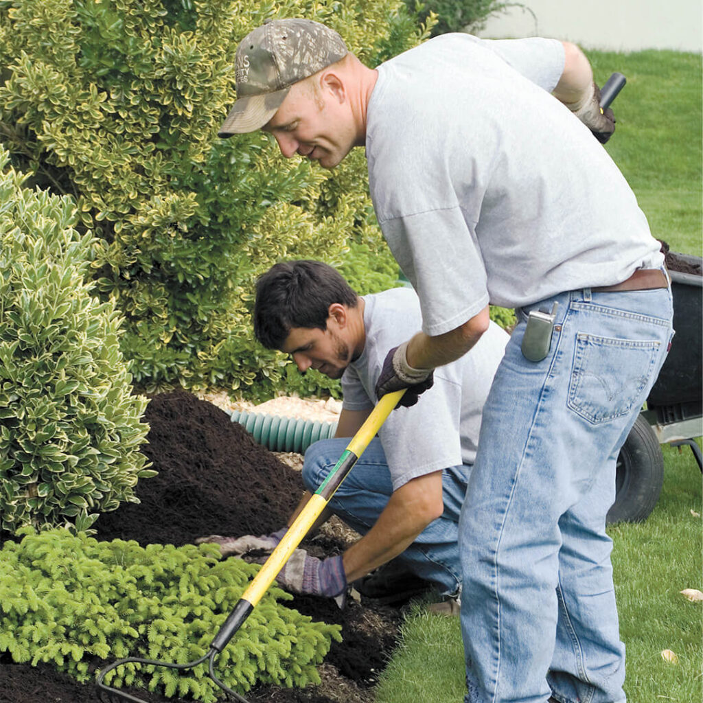 A mulch installation team spreading mulch in a yard