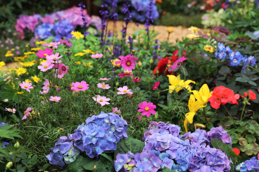 plants and flowers Summer Depositphotos 146443947 XL 1