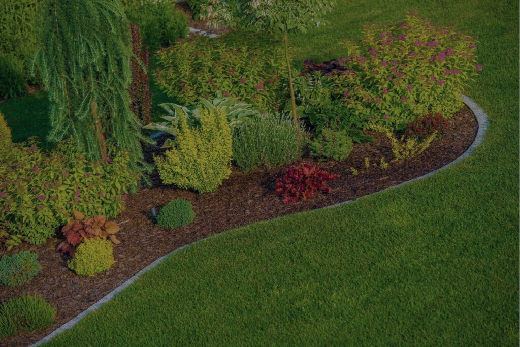 A freshly-mulched garden with bushes, surrounded by a border of stones.