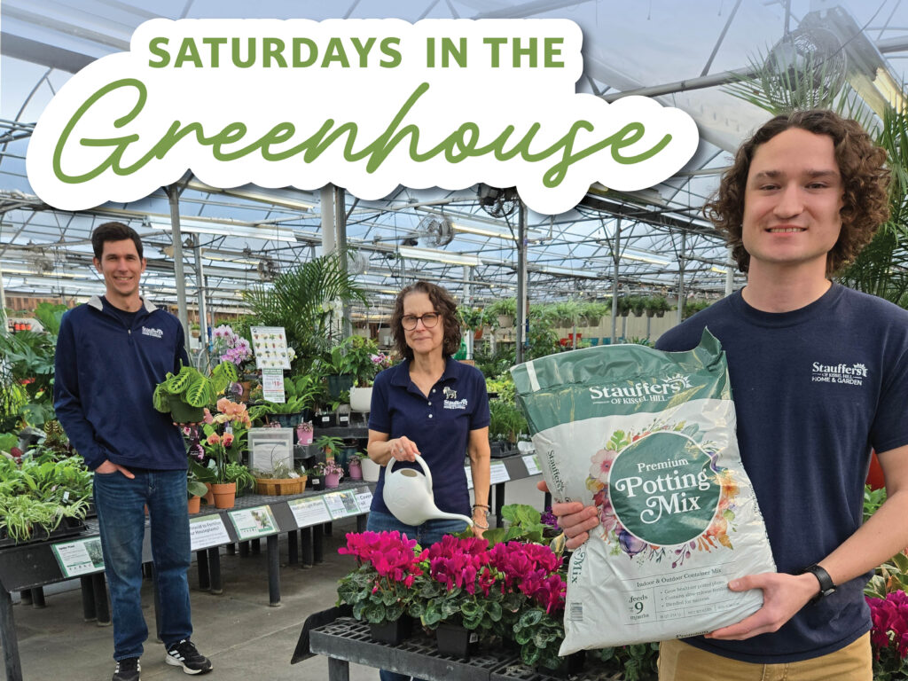 Saturdays in the GH GMB 1200x900 1