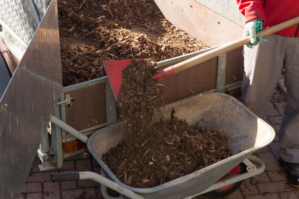 A man scoops mulch into a wheelbarrow with a shovel as part of our mulch delivery services
