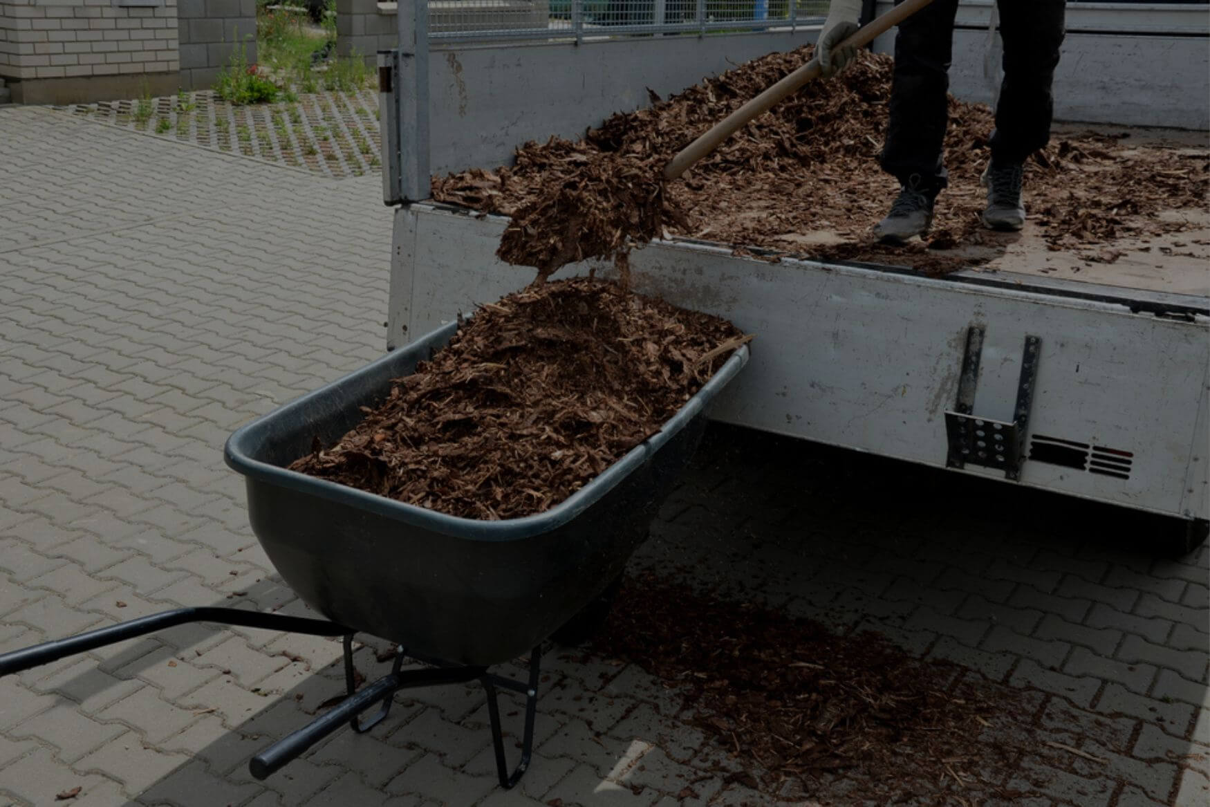 Mulch delivery team member loads up a wheelbarrow with mulch from the bed of a truck